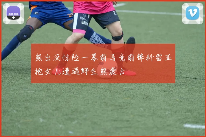 熊出没惊险一幕前马竞前锋科雷亚抱女儿遭遇野生熊袭击