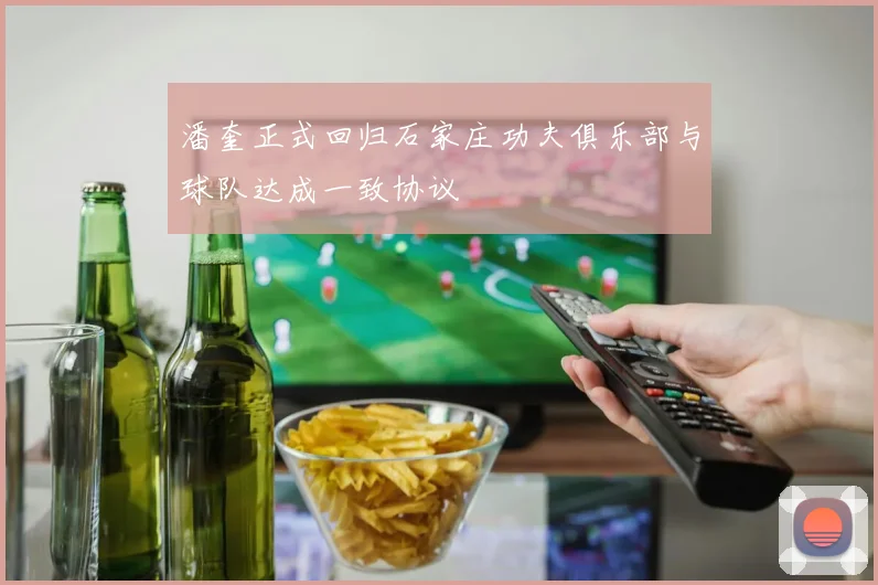 潘奎正式回归石家庄功夫俱乐部与球队达成一致协议