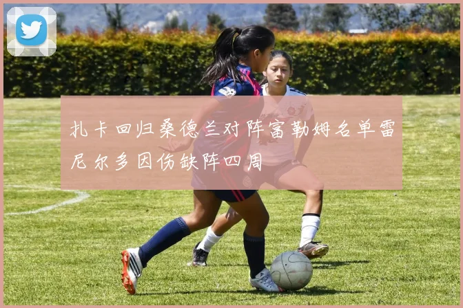 扎卡回归桑德兰对阵富勒姆名单雷尼尔多因伤缺阵四周