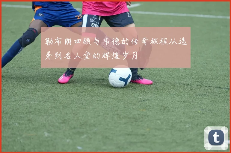 勒布朗回顾与韦德的传奇旅程从选秀到名人堂的辉煌岁月