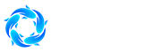 开云app网站入口