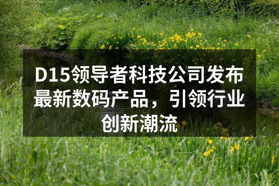 D15领导者科技公司发布最新数码产品，引领行业创新潮流